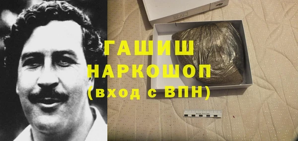 гашик Пестово
