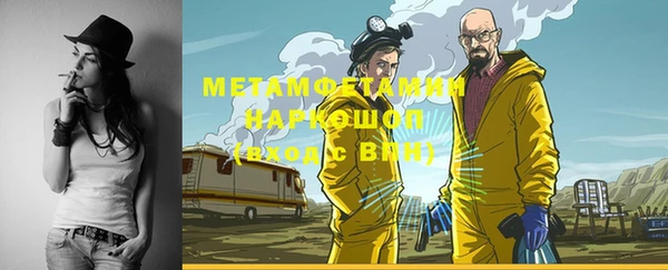 гашик Пестово