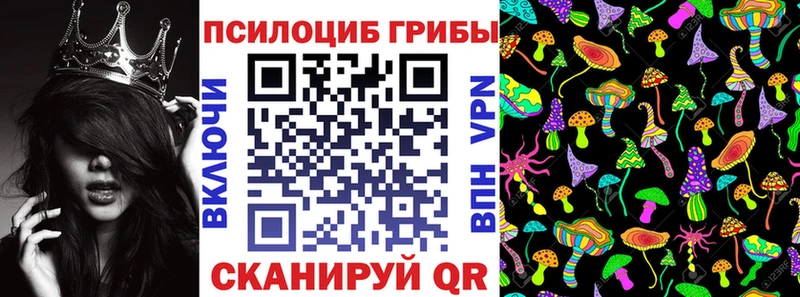 где купить наркоту  Еманжелинск  Псилоцибиновые грибы Cubensis 